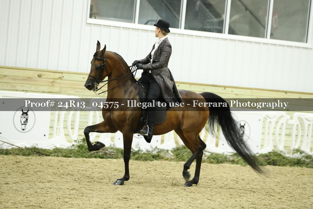 Proof 24R13_04575