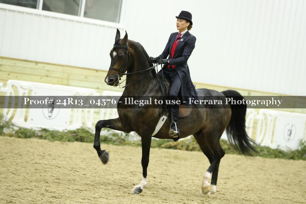 Proof 24R13_04576
