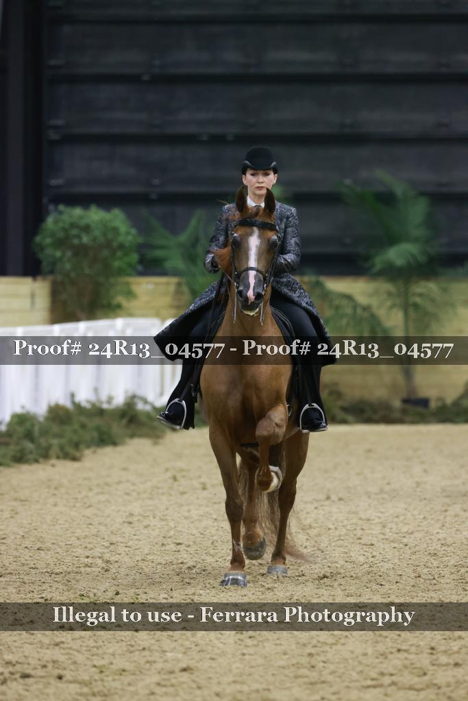 Proof 24R13_04577