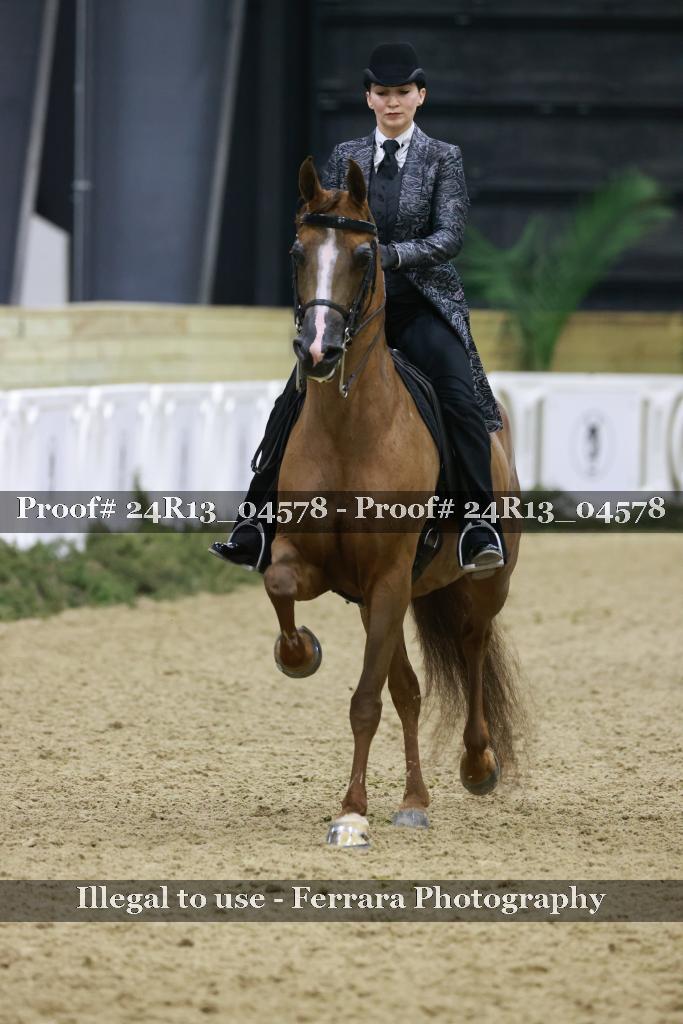 Proof 24R13_04578