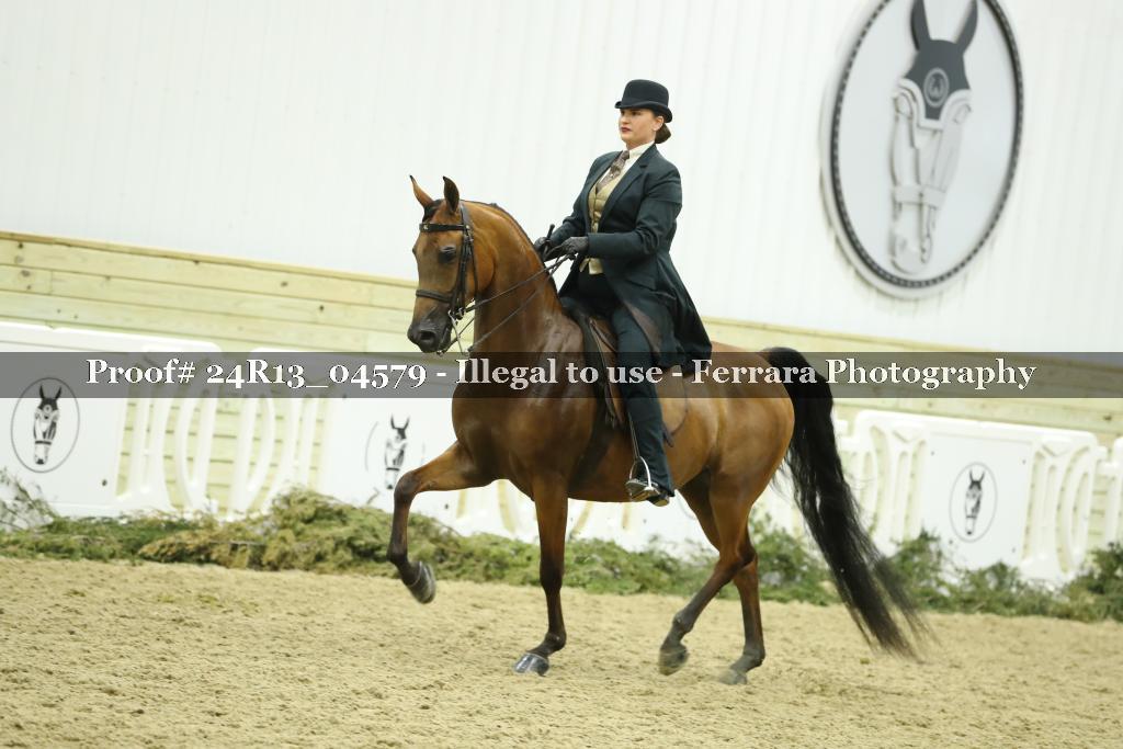 Proof 24R13_04579