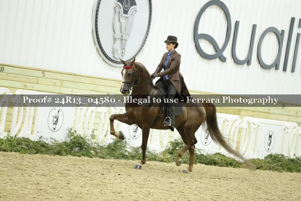 Proof 24R13_04580