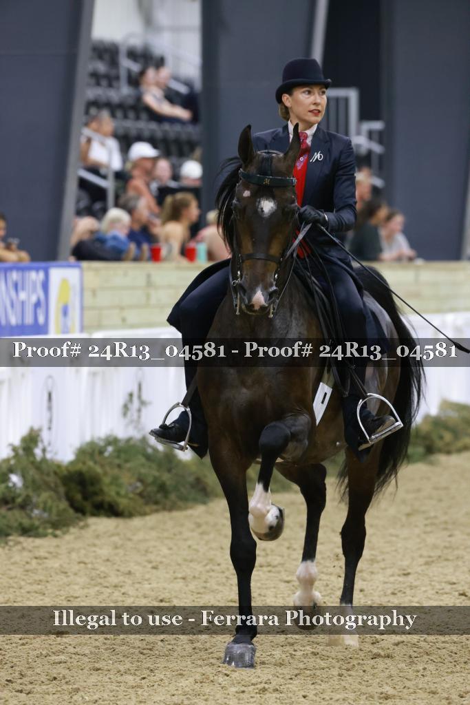 Proof 24R13_04581