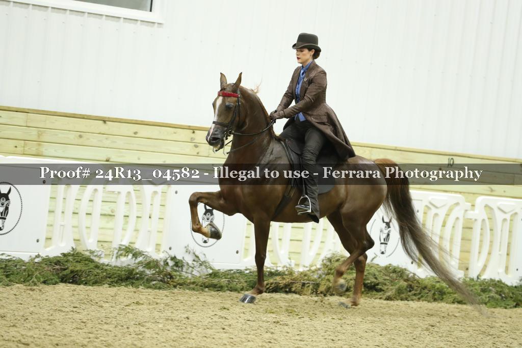 Proof 24R13_04582