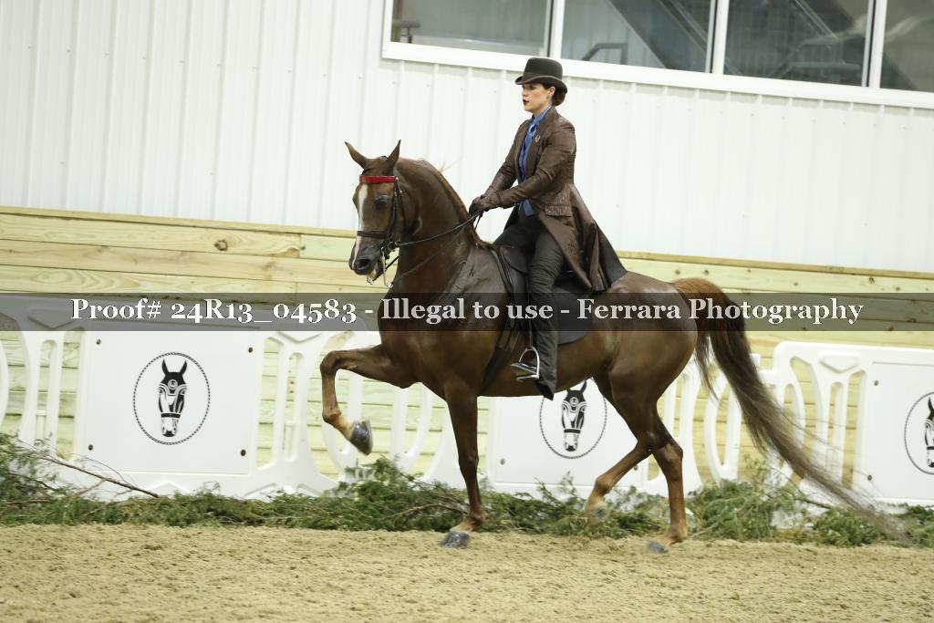 Proof 24R13_04583