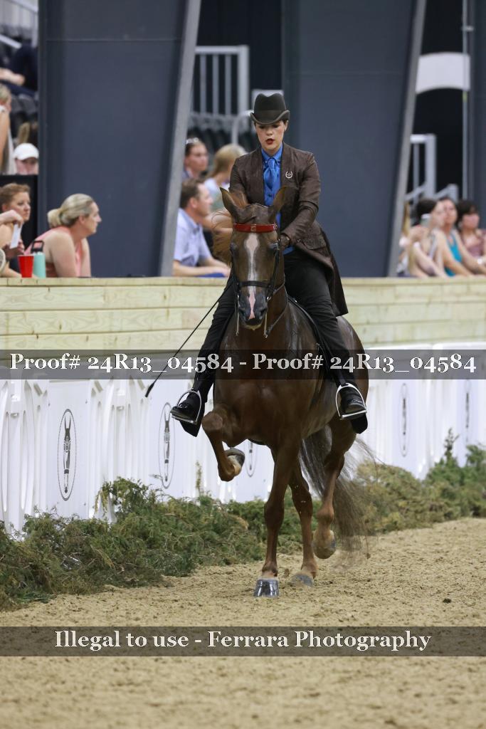 Proof 24R13_04584