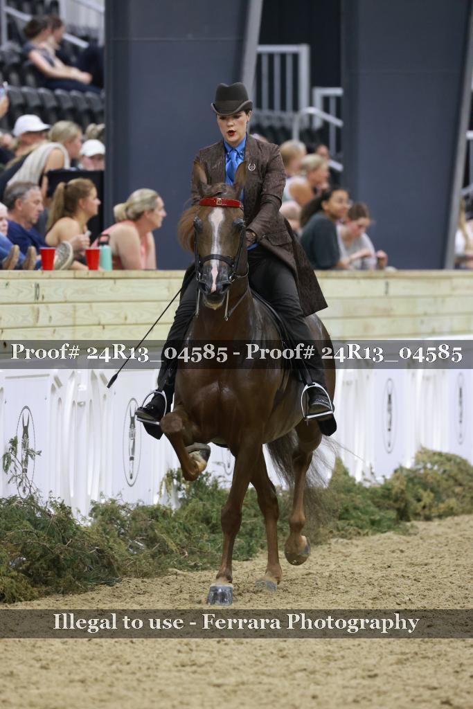 Proof 24R13_04585