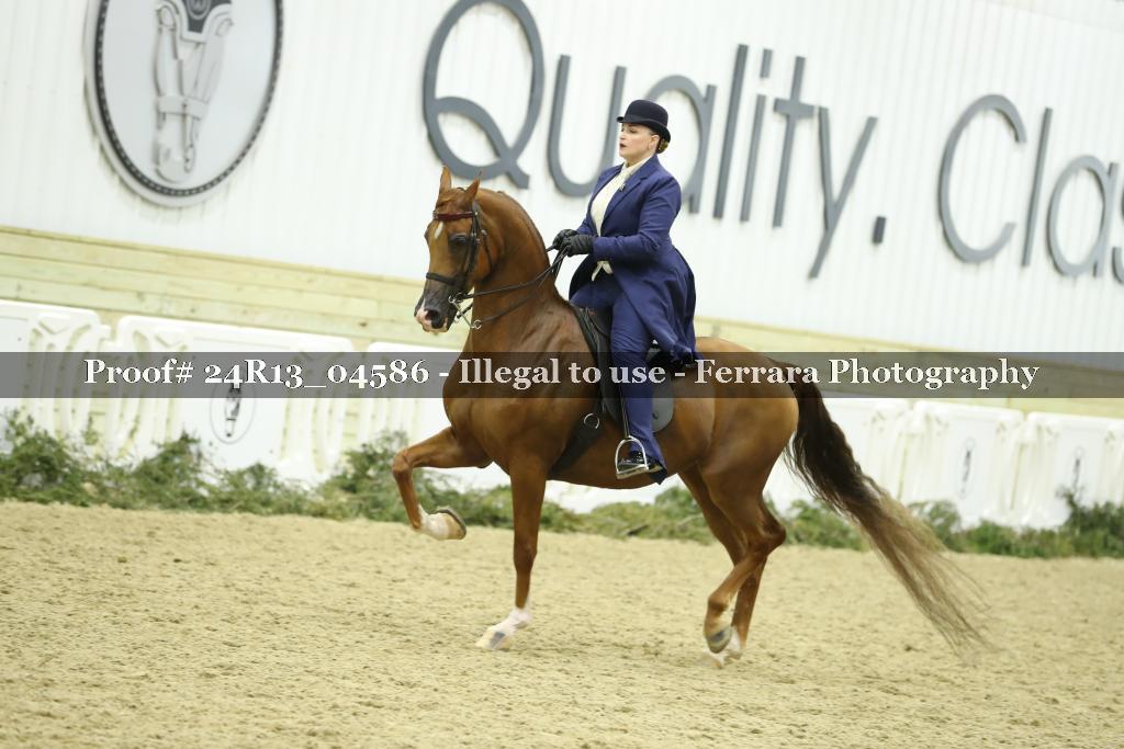 Proof 24R13_04586