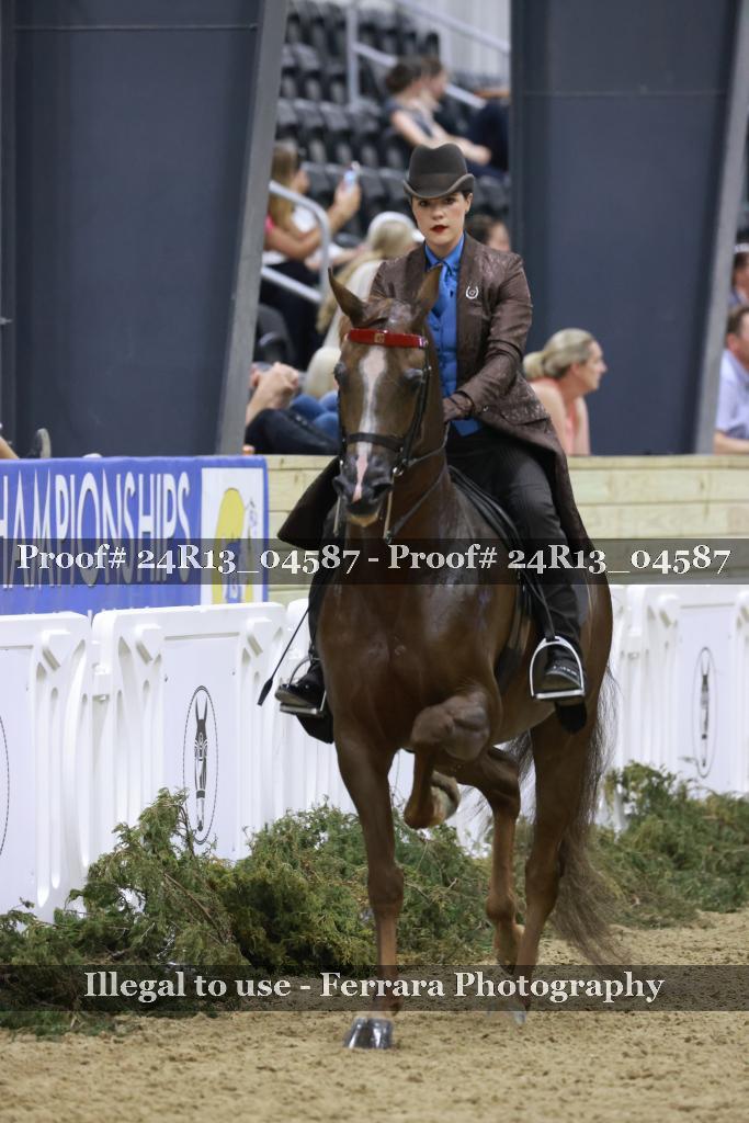Proof 24R13_04587