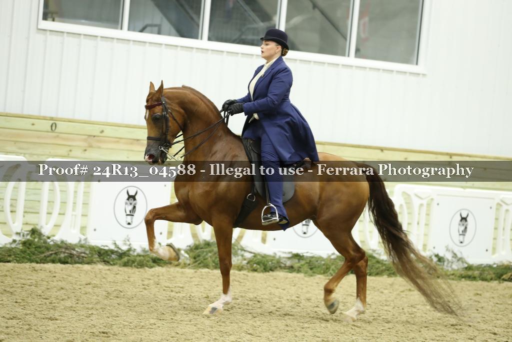 Proof 24R13_04588