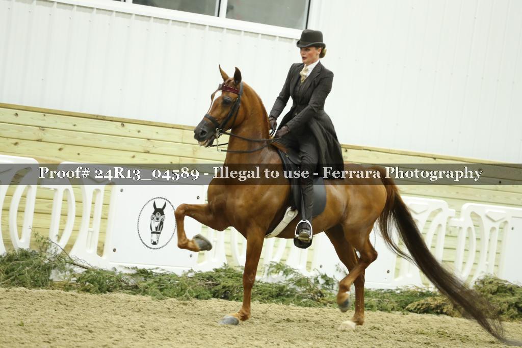 Proof 24R13_04589
