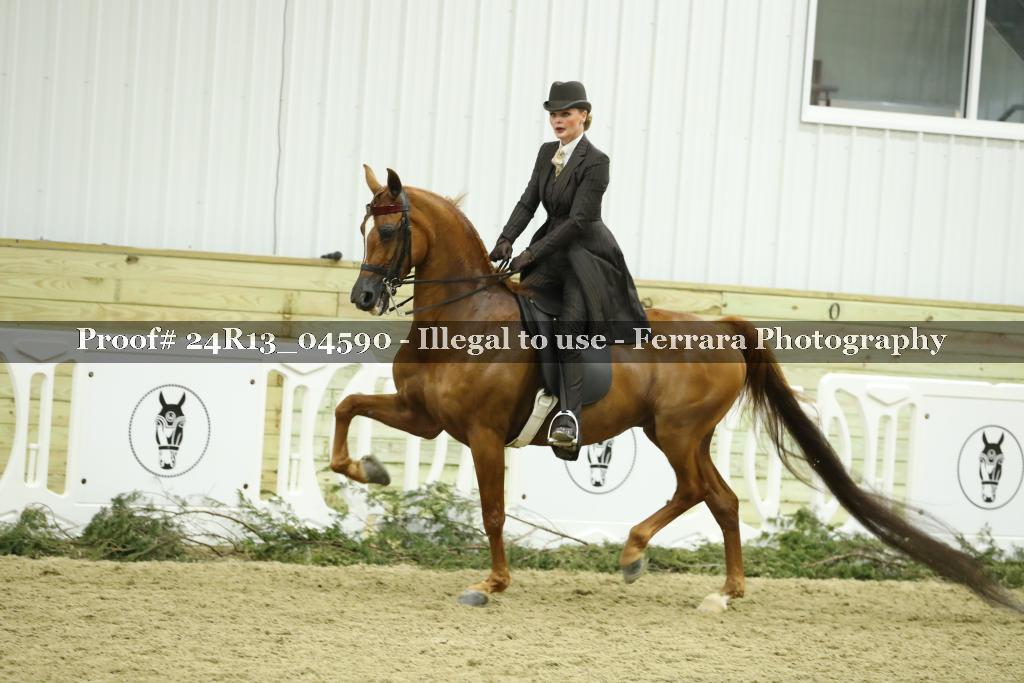 Proof 24R13_04590