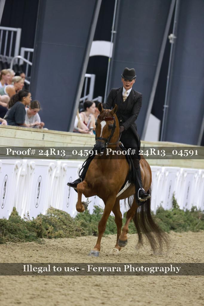 Proof 24R13_04591