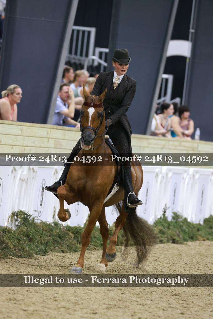 Proof 24R13_04592