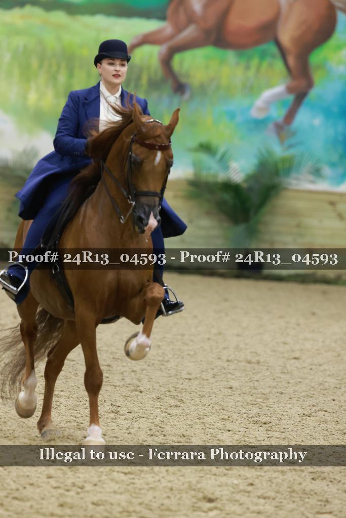 Proof 24R13_04593