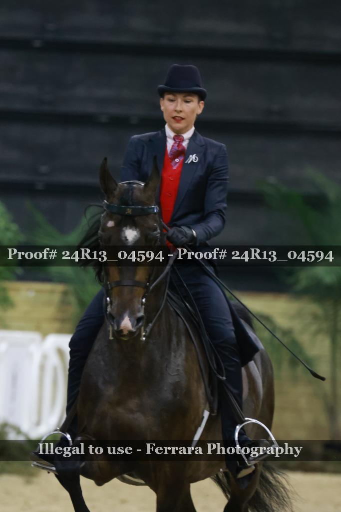 Proof 24R13_04594