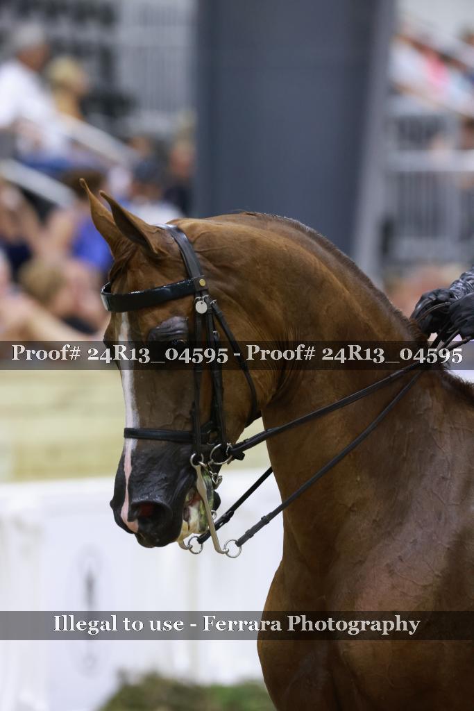 Proof 24R13_04595