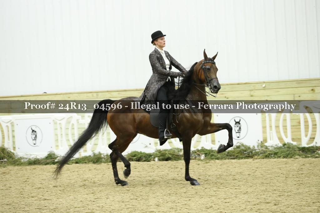 Proof 24R13_04596