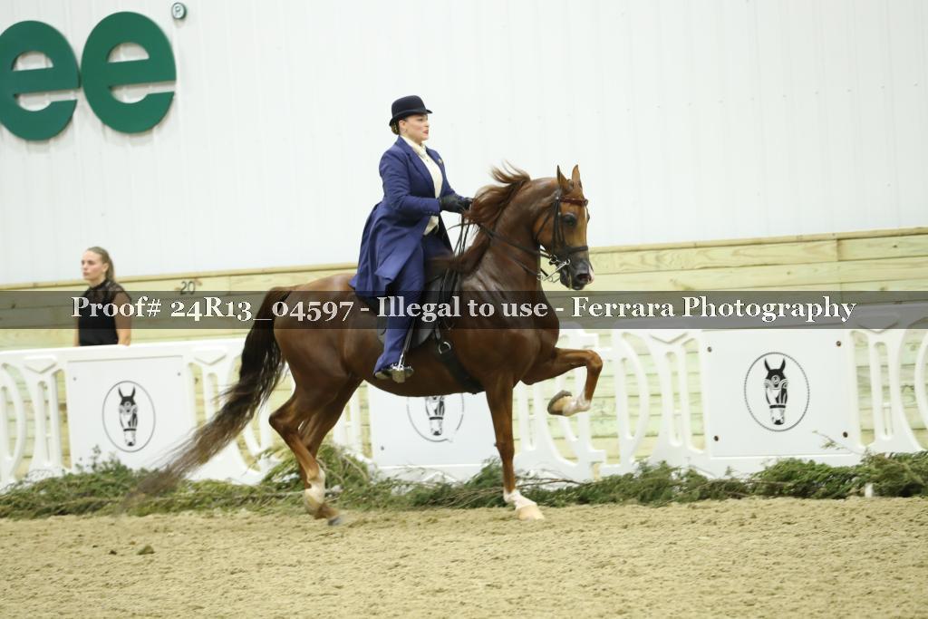 Proof 24R13_04597