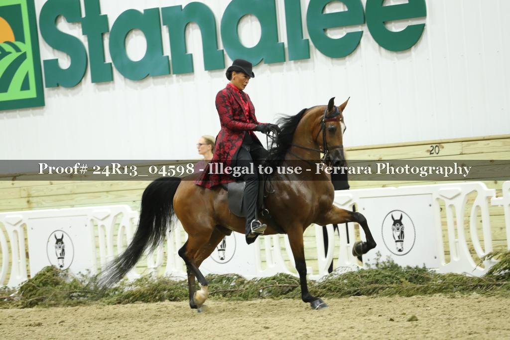 Proof 24R13_04598