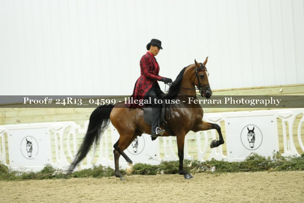Proof 24R13_04599