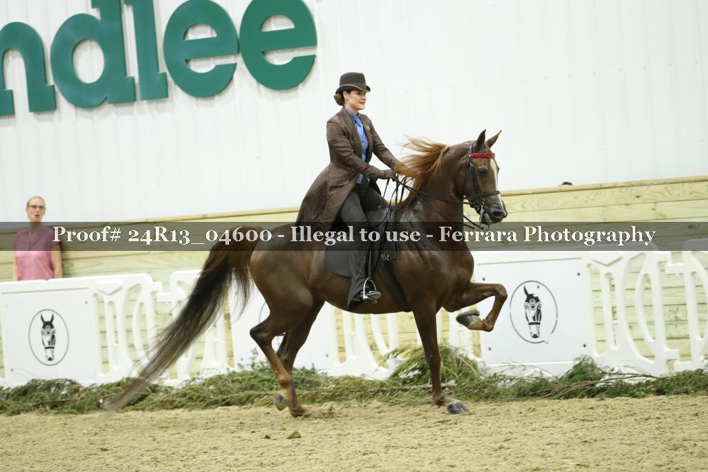 Proof 24R13_04600