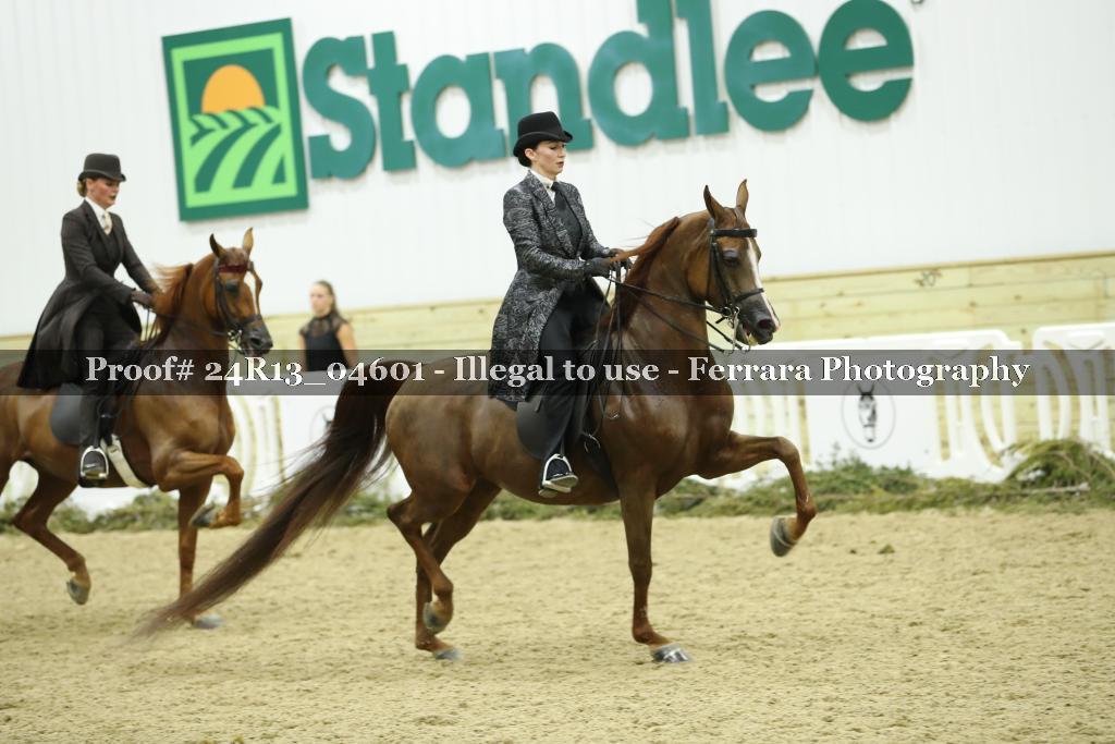Proof 24R13_04601