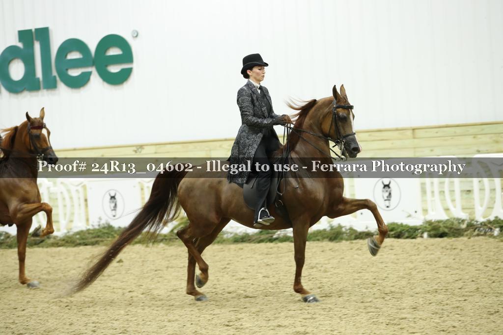 Proof 24R13_04602