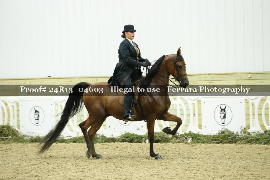 Proof 24R13_04603