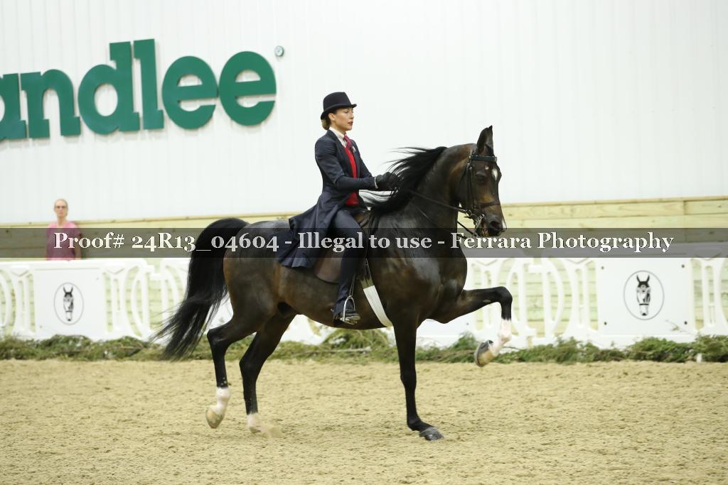 Proof 24R13_04604