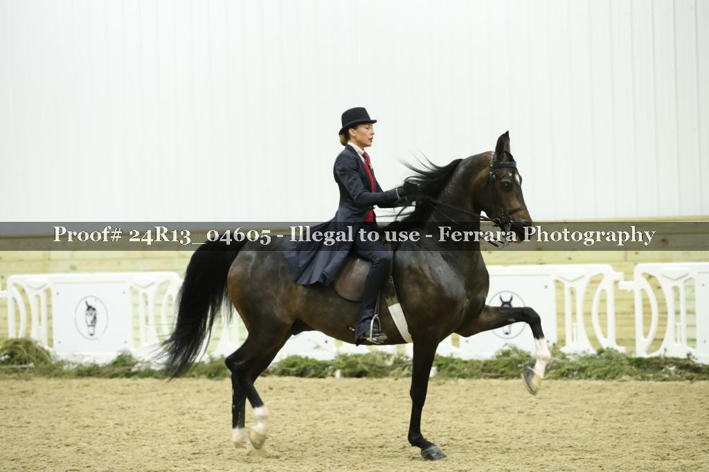 Proof 24R13_04605