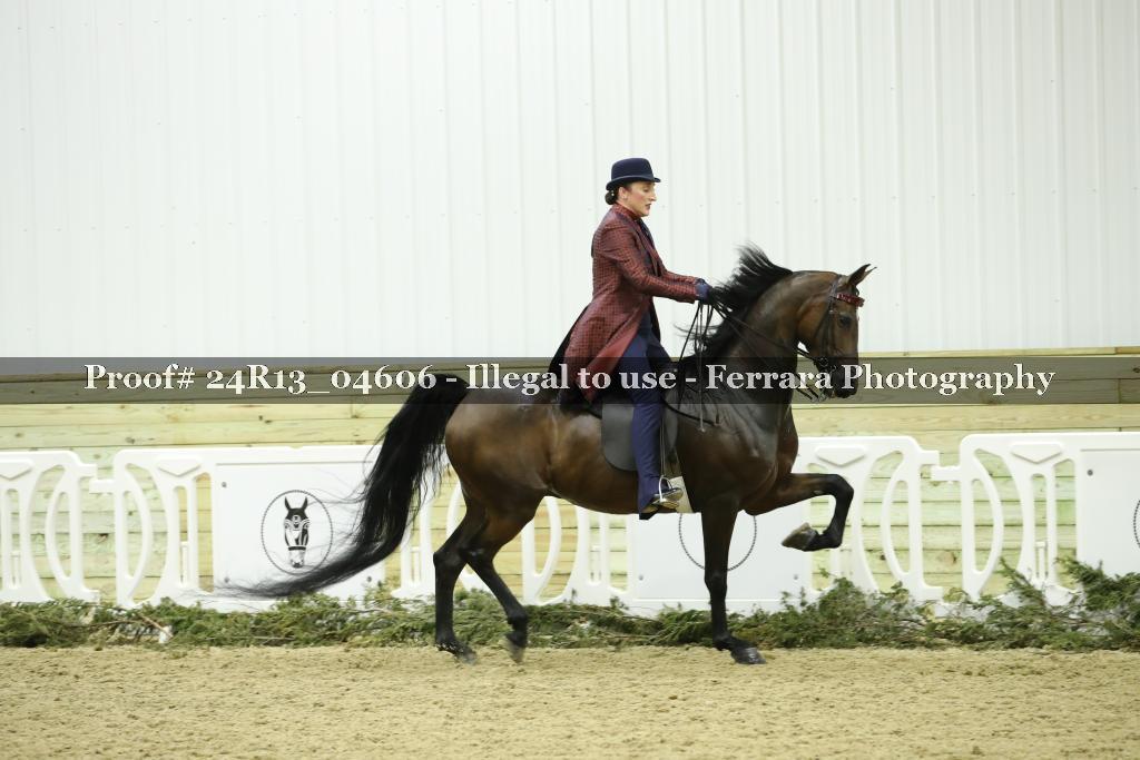 Proof 24R13_04606