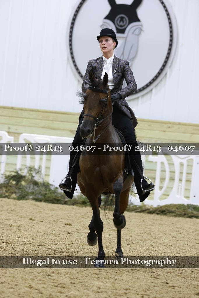 Proof 24R13_04607