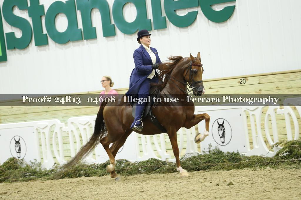 Proof 24R13_04608