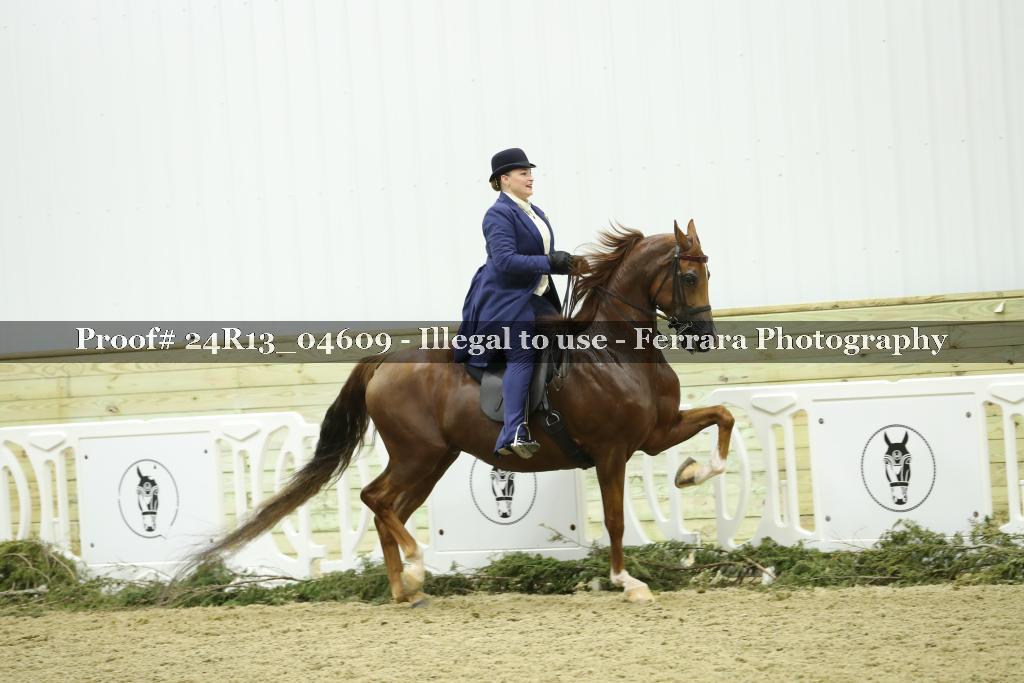 Proof 24R13_04609