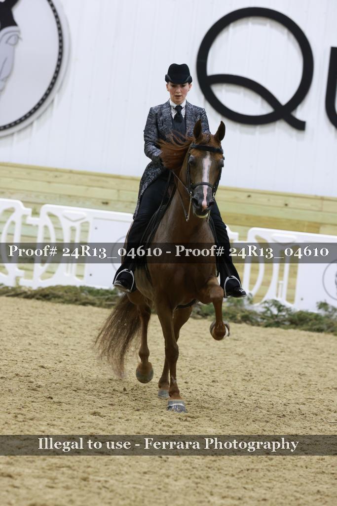 Proof 24R13_04610