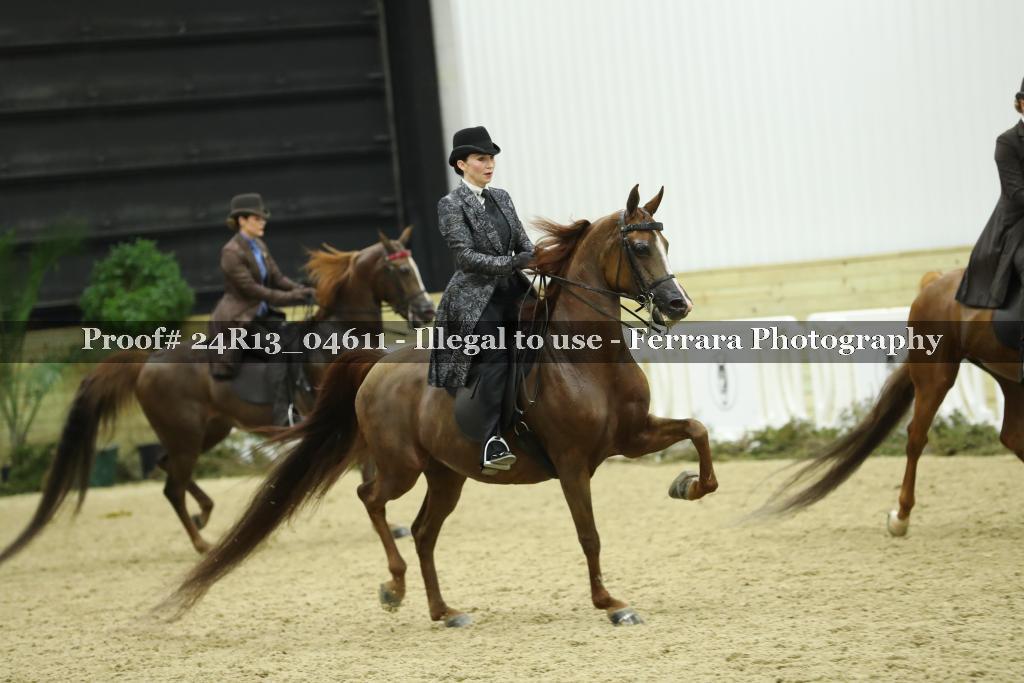 Proof 24R13_04611