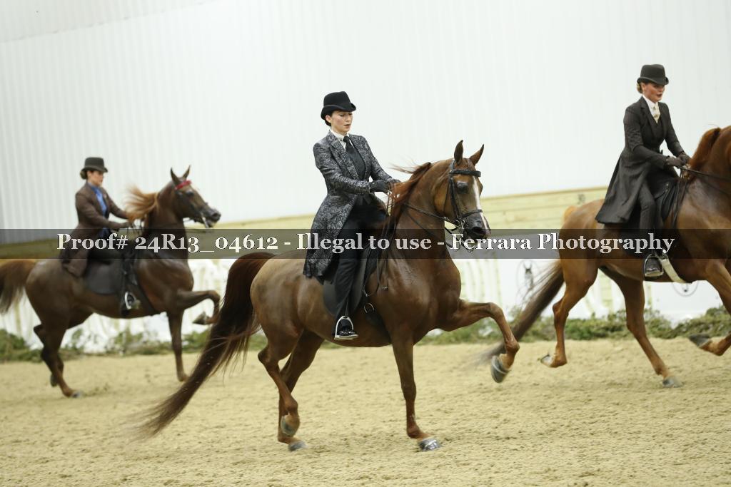 Proof 24R13_04612