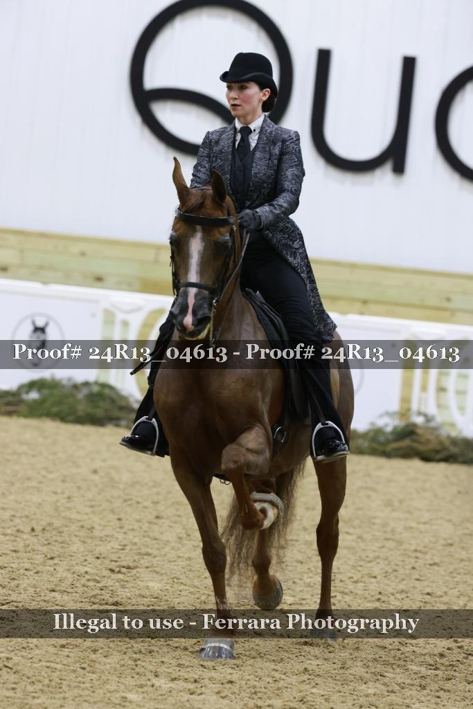 Proof 24R13_04613