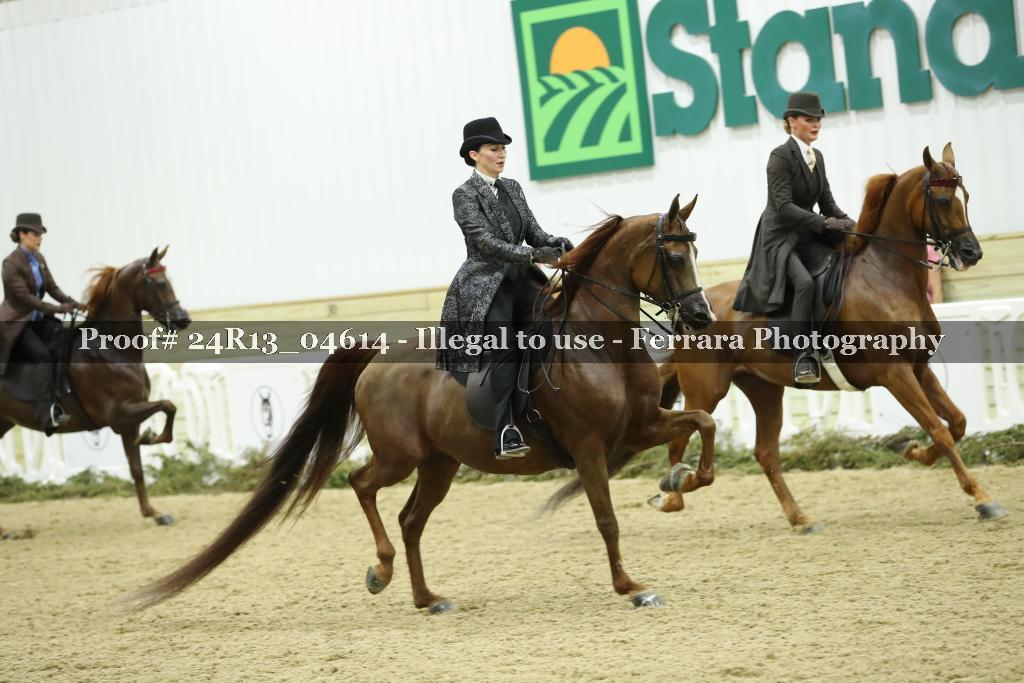 Proof 24R13_04614
