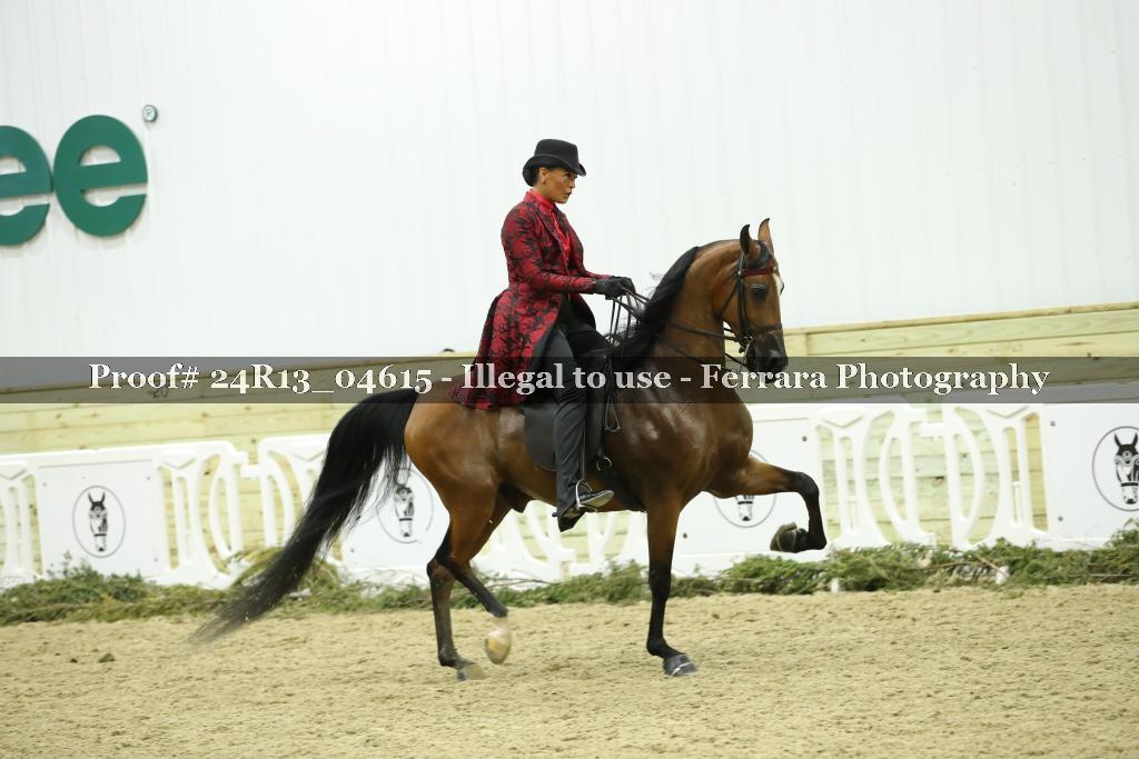 Proof 24R13_04615