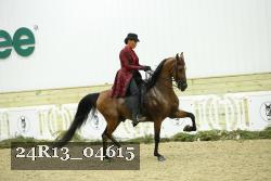 24R13_04615 proof