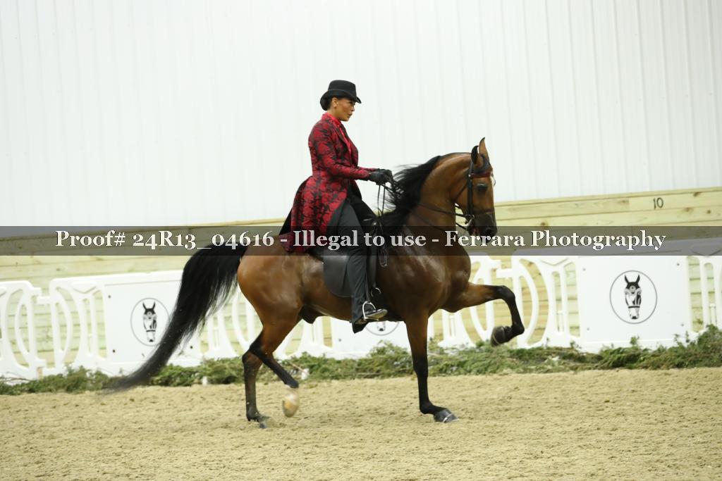 Proof 24R13_04616