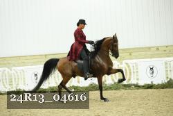 24R13_04616 proof