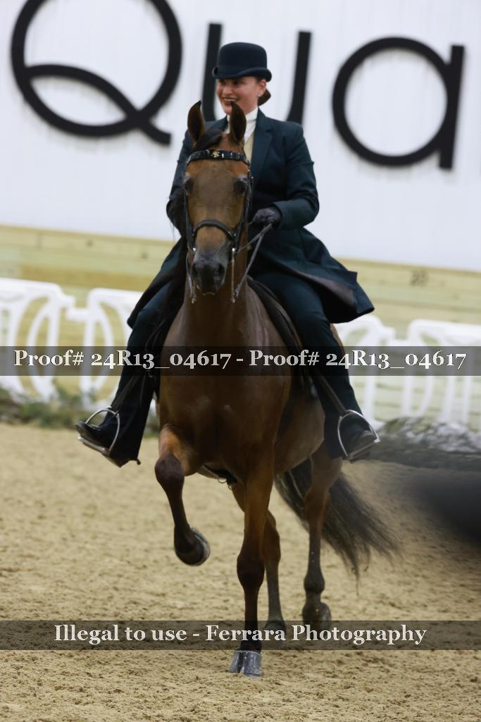 Proof 24R13_04617