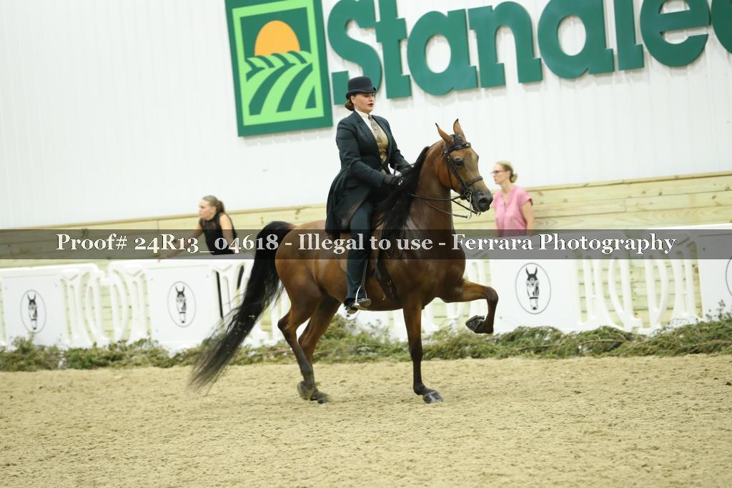 Proof 24R13_04618