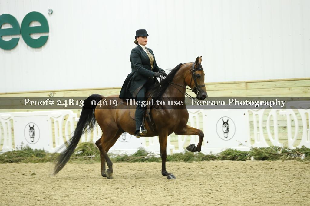 Proof 24R13_04619