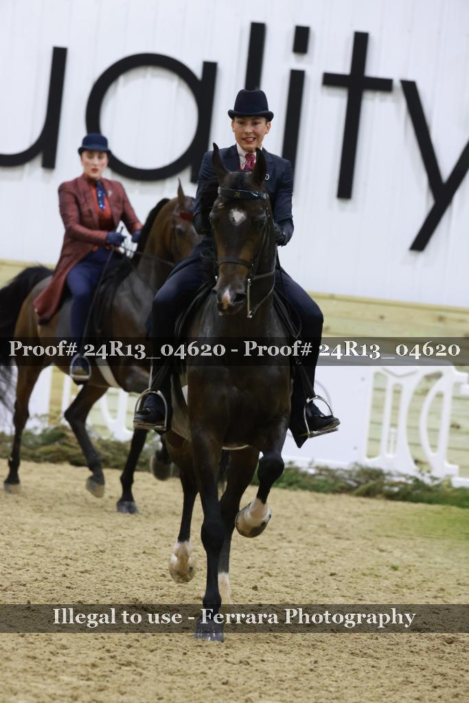 Proof 24R13_04620
