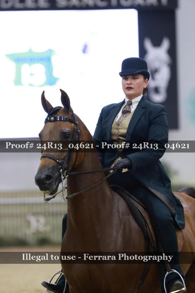 Proof 24R13_04621