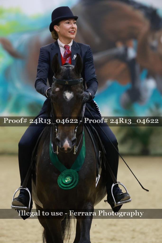 Proof 24R13_04622